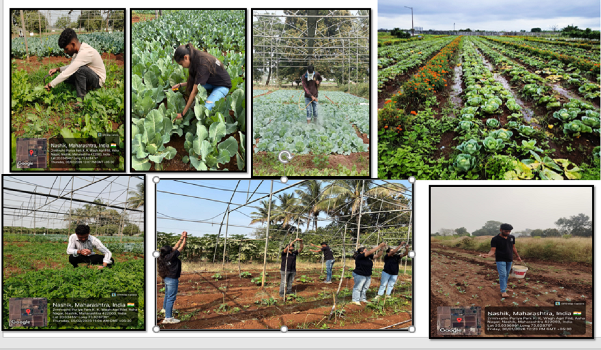 ELP(Experimental Learning programme) Module Activity A.Y 2025-2026